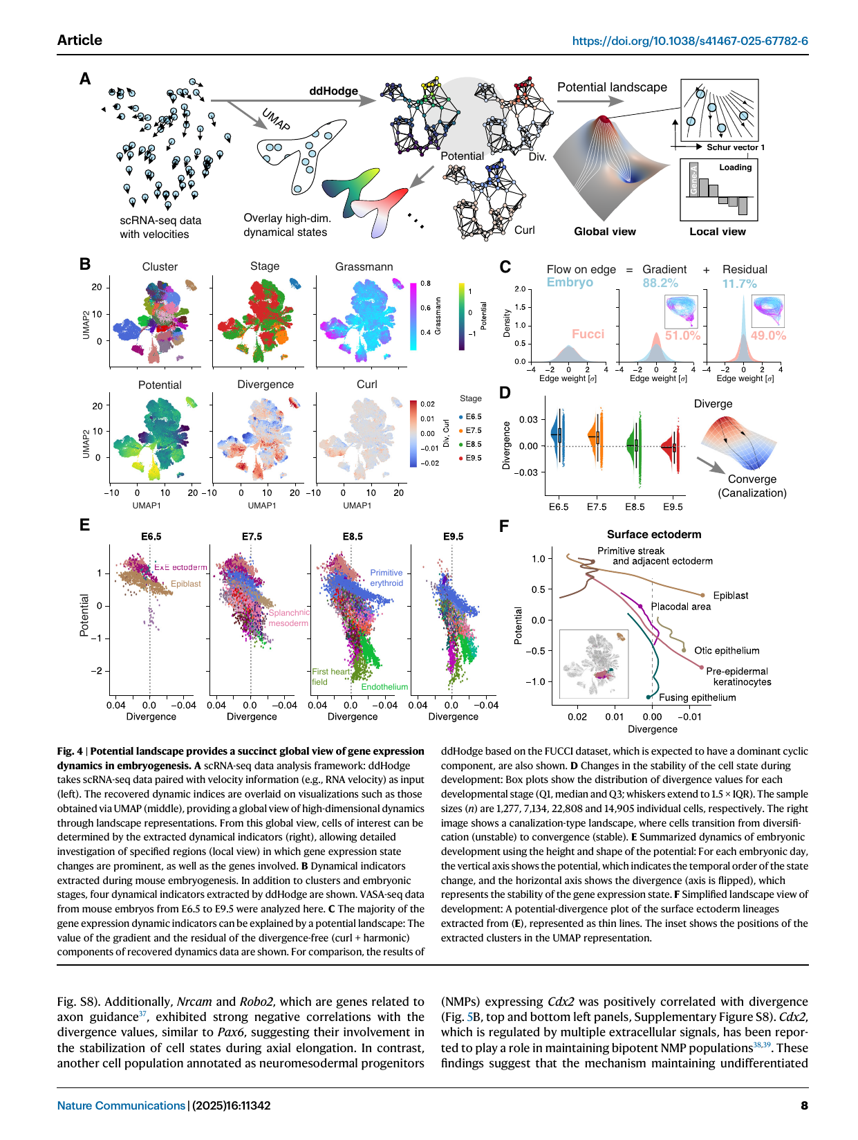 ddHodge potential landscape of embryogenesis