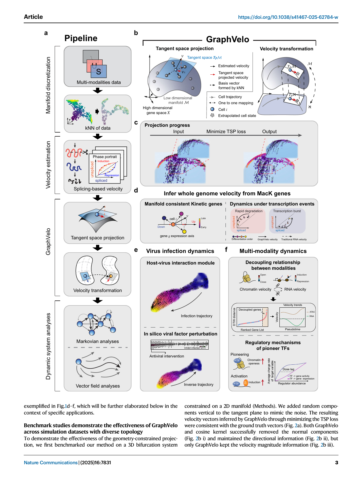 GraphVelo pipeline and tangent-space projection