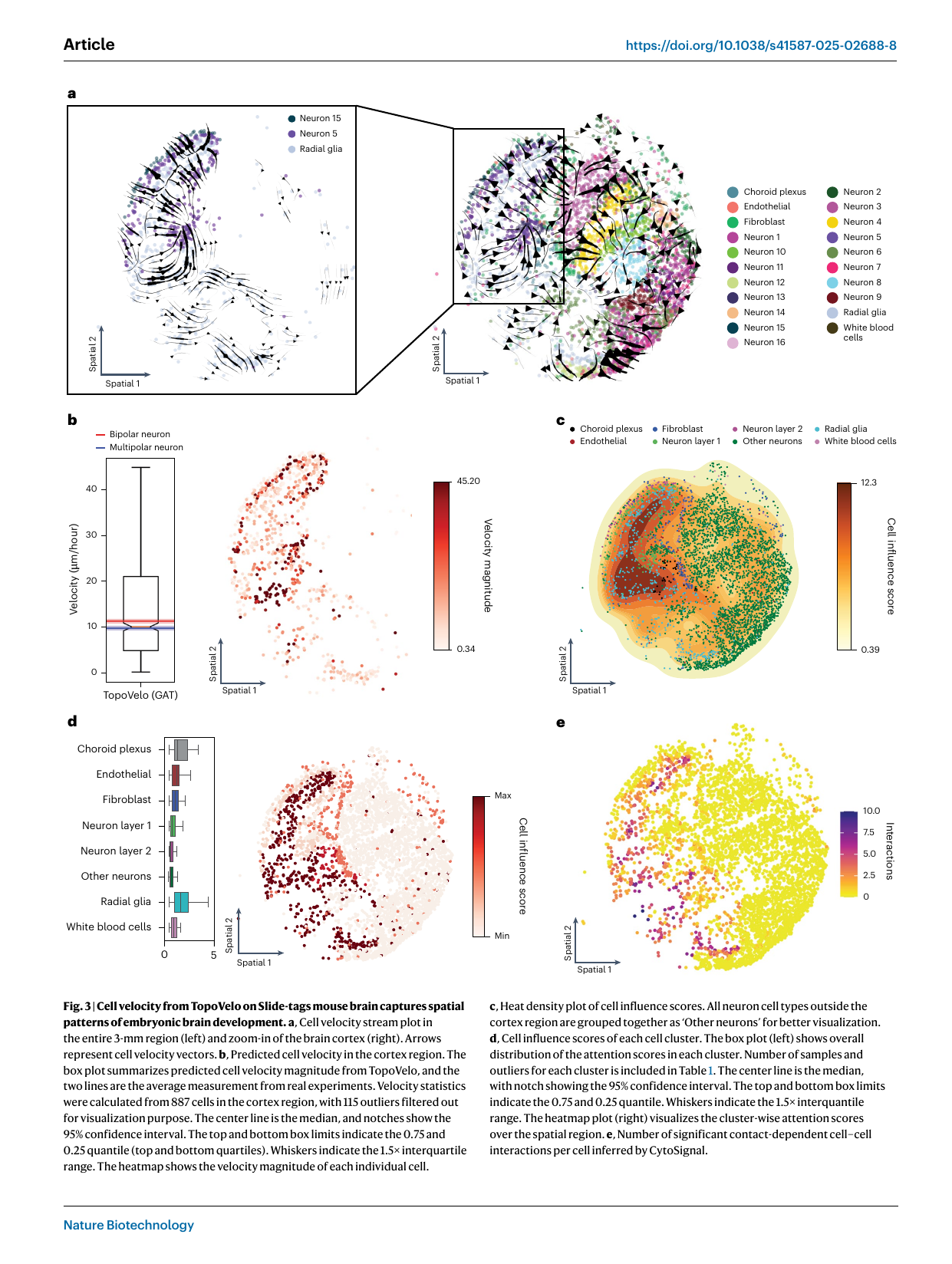TopoVelo cell velocity and influence