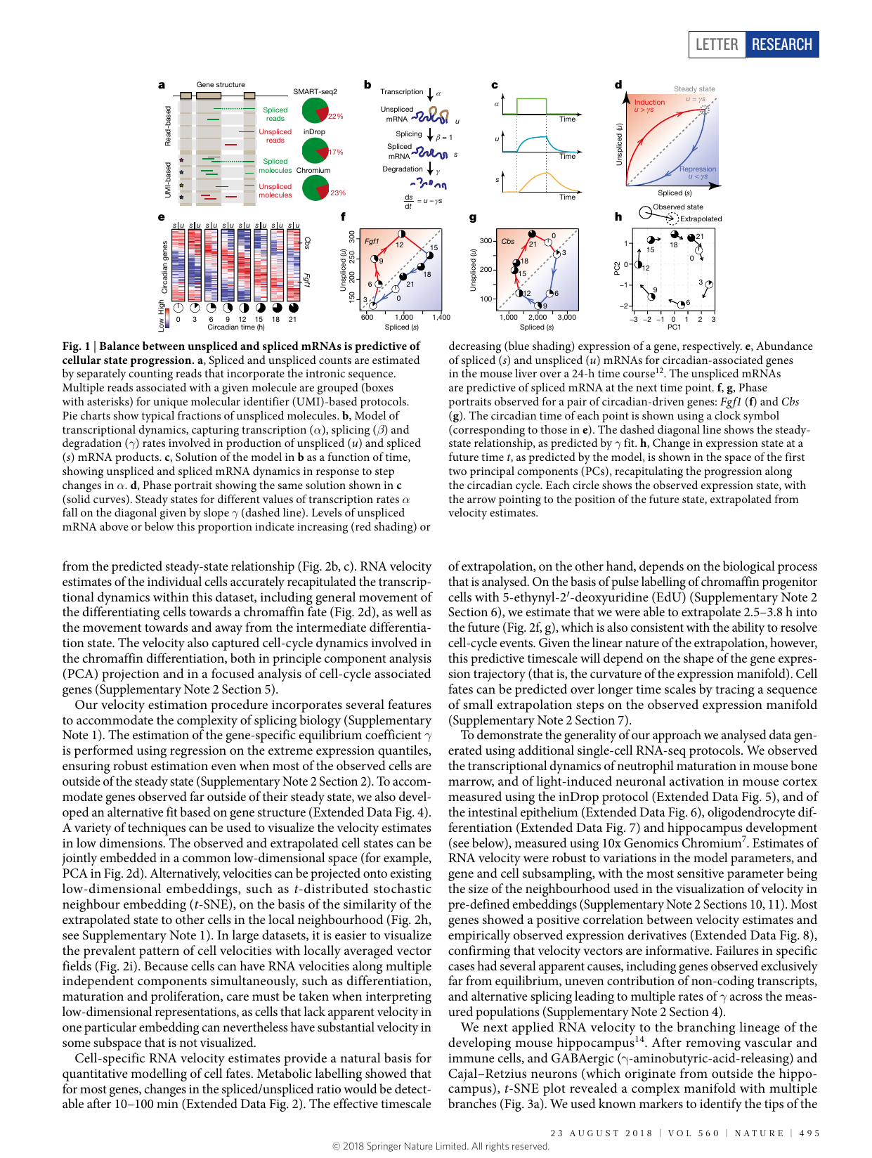 velocyto Fig 1 — model and phase portraits
